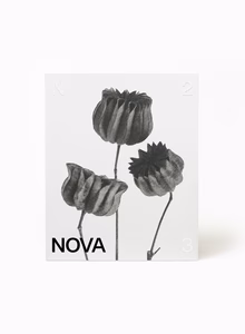 Alternative view of NOVA