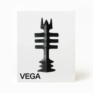 Alternative view of VEGA